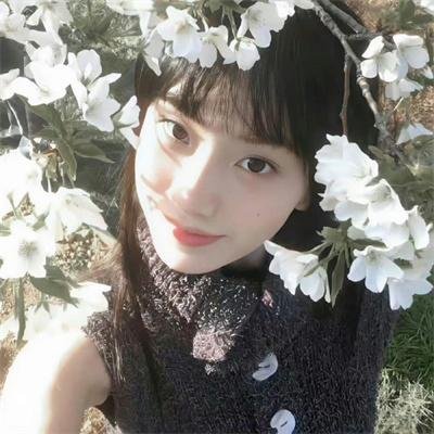 精灵守护者第一部